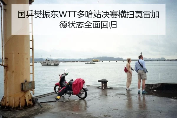 国乒樊振东WTT多哈站决赛横扫莫雷加德状态全面回归
