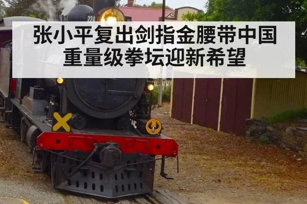 张小平复出剑指金腰带中国重量级拳坛迎新希望